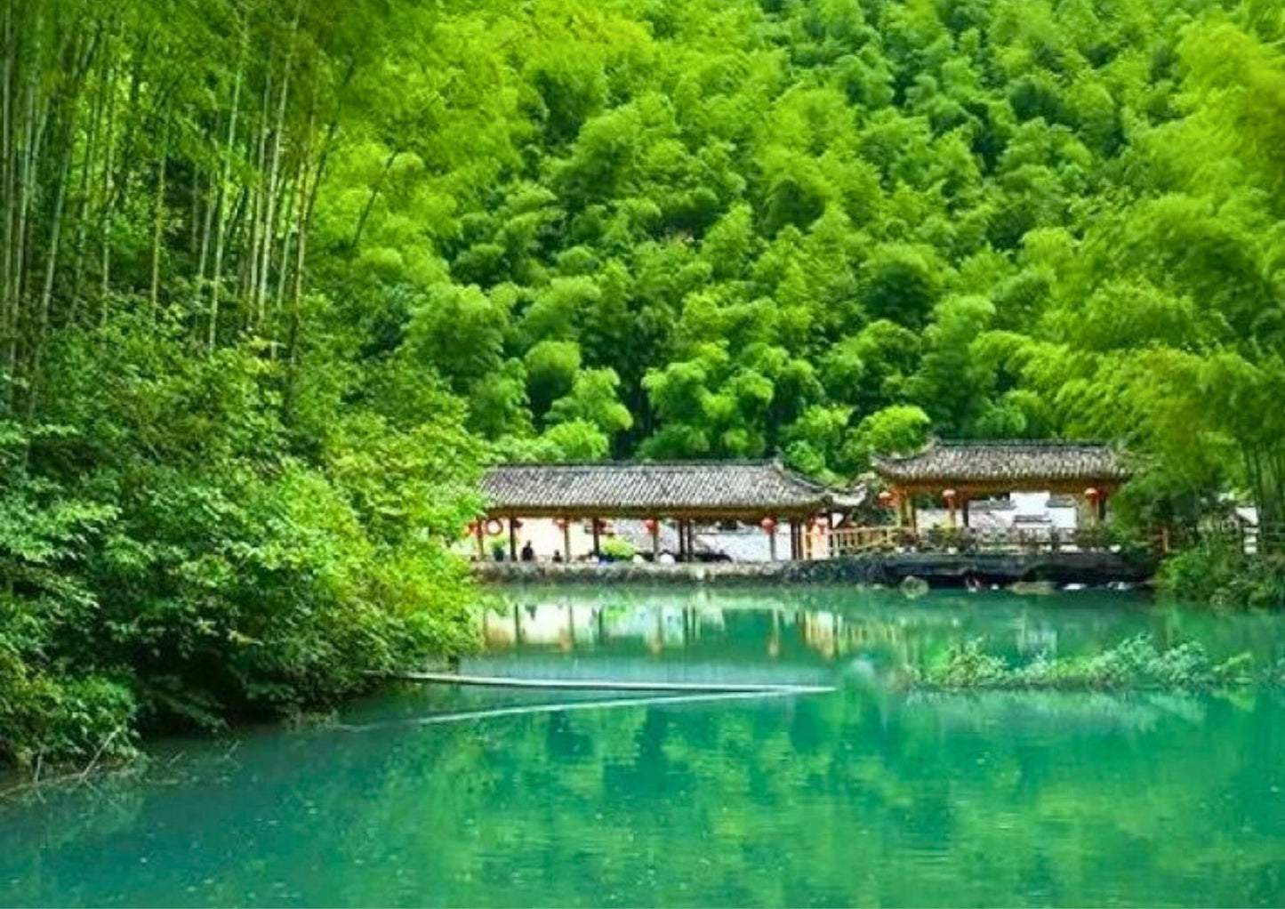 7日間の黄山プライベートツアー