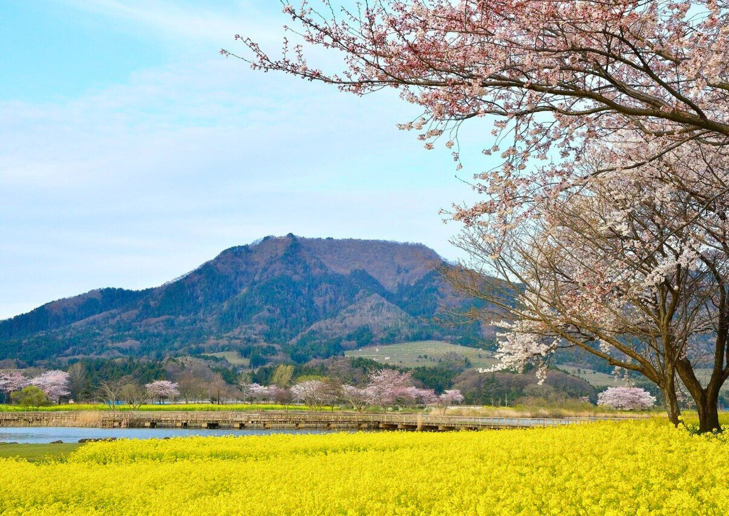10天甲信越私人包團
