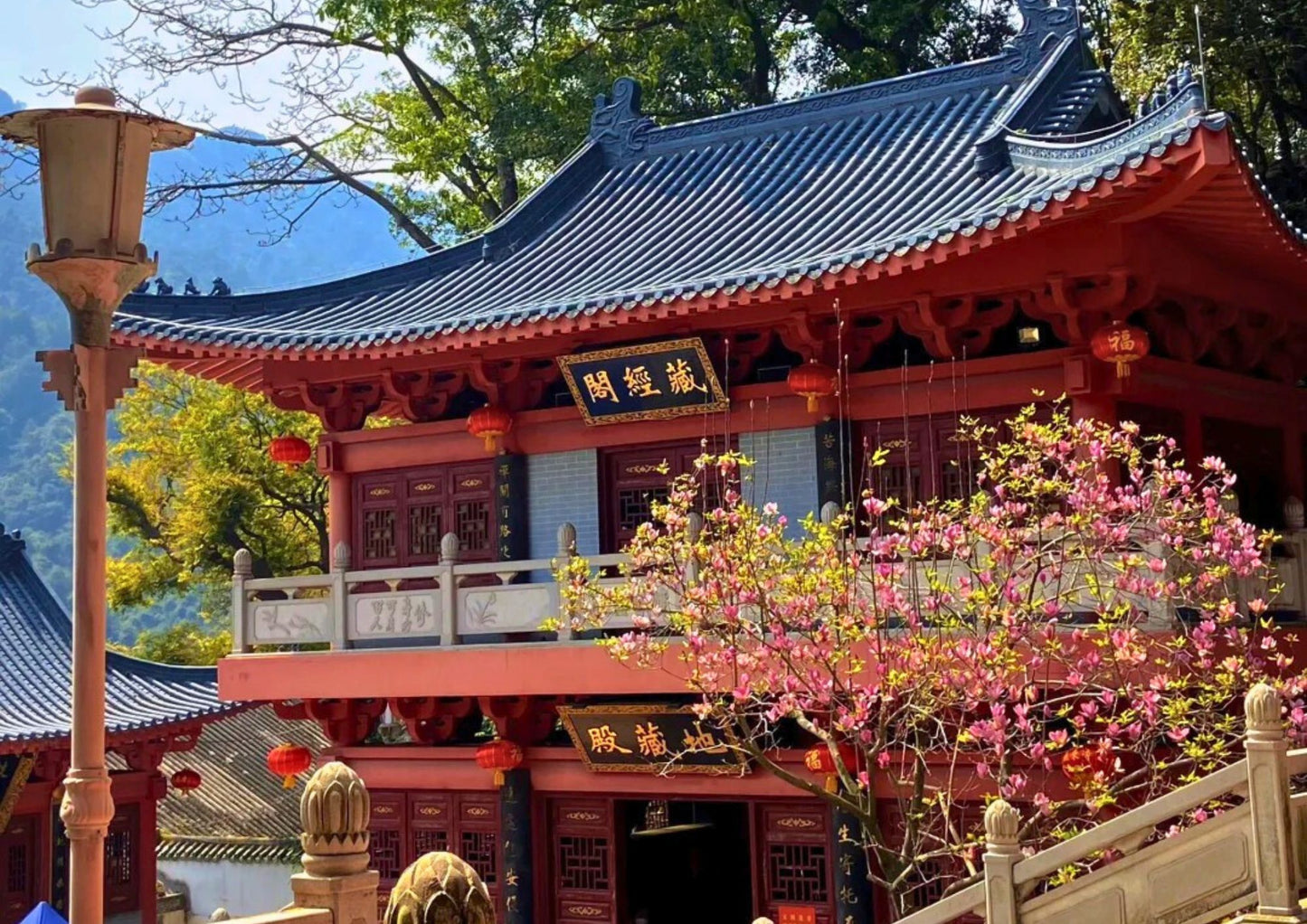 4 DAYS QINGYUAN PRIVATE TOUR