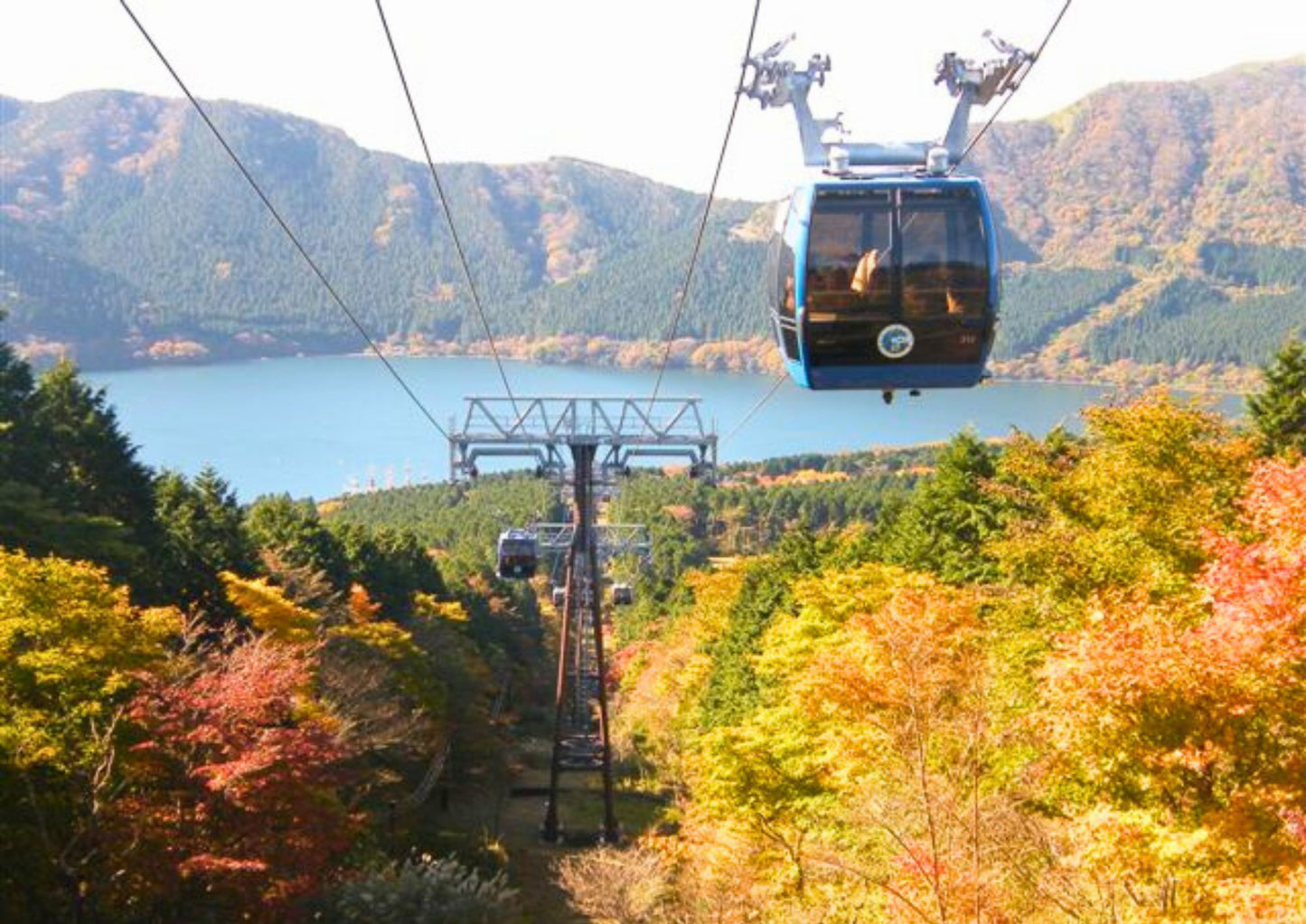 5 DAYS SOUTH KANTO PRIVATE TOUR