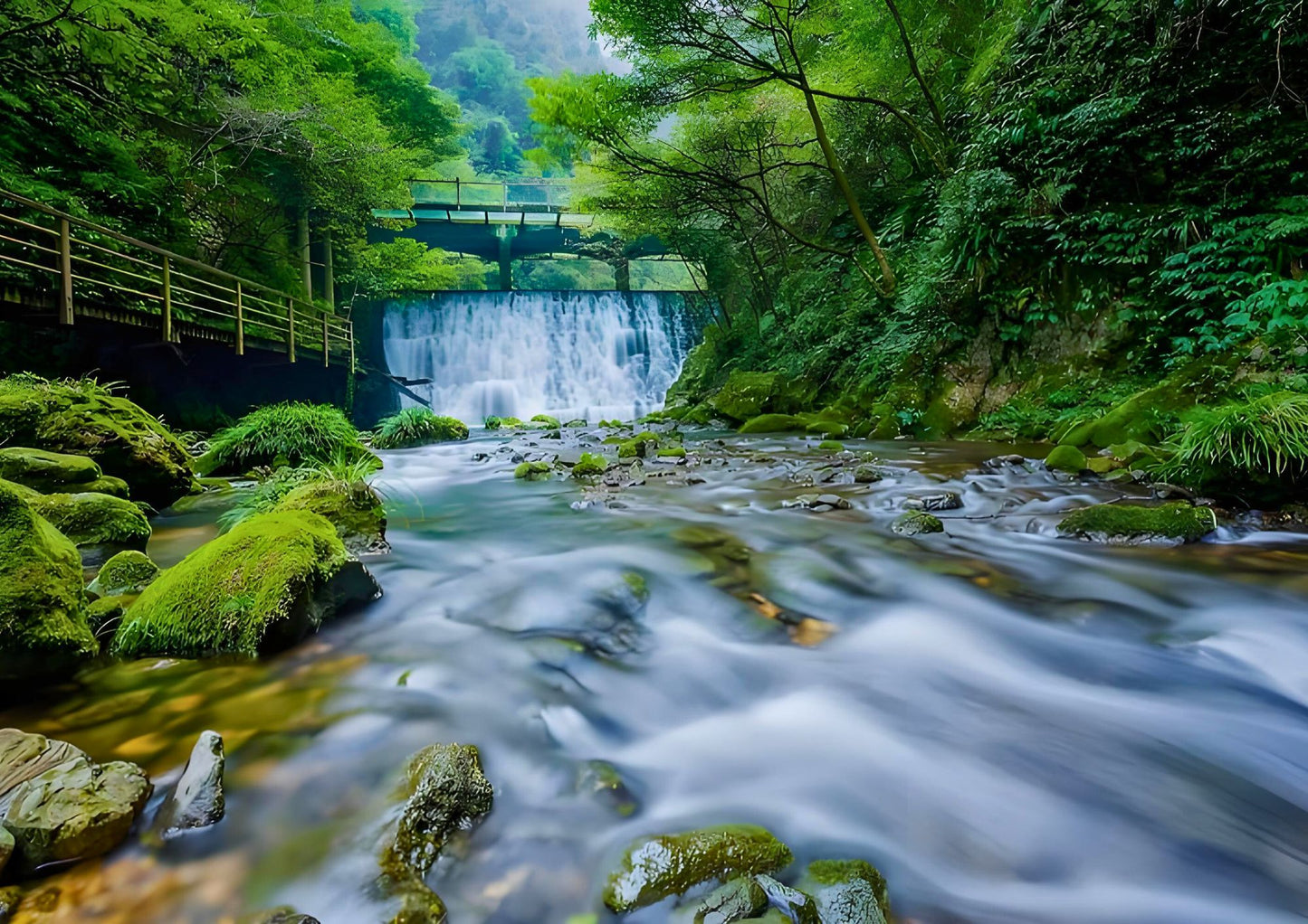 7日間の張家界プライベートツアー