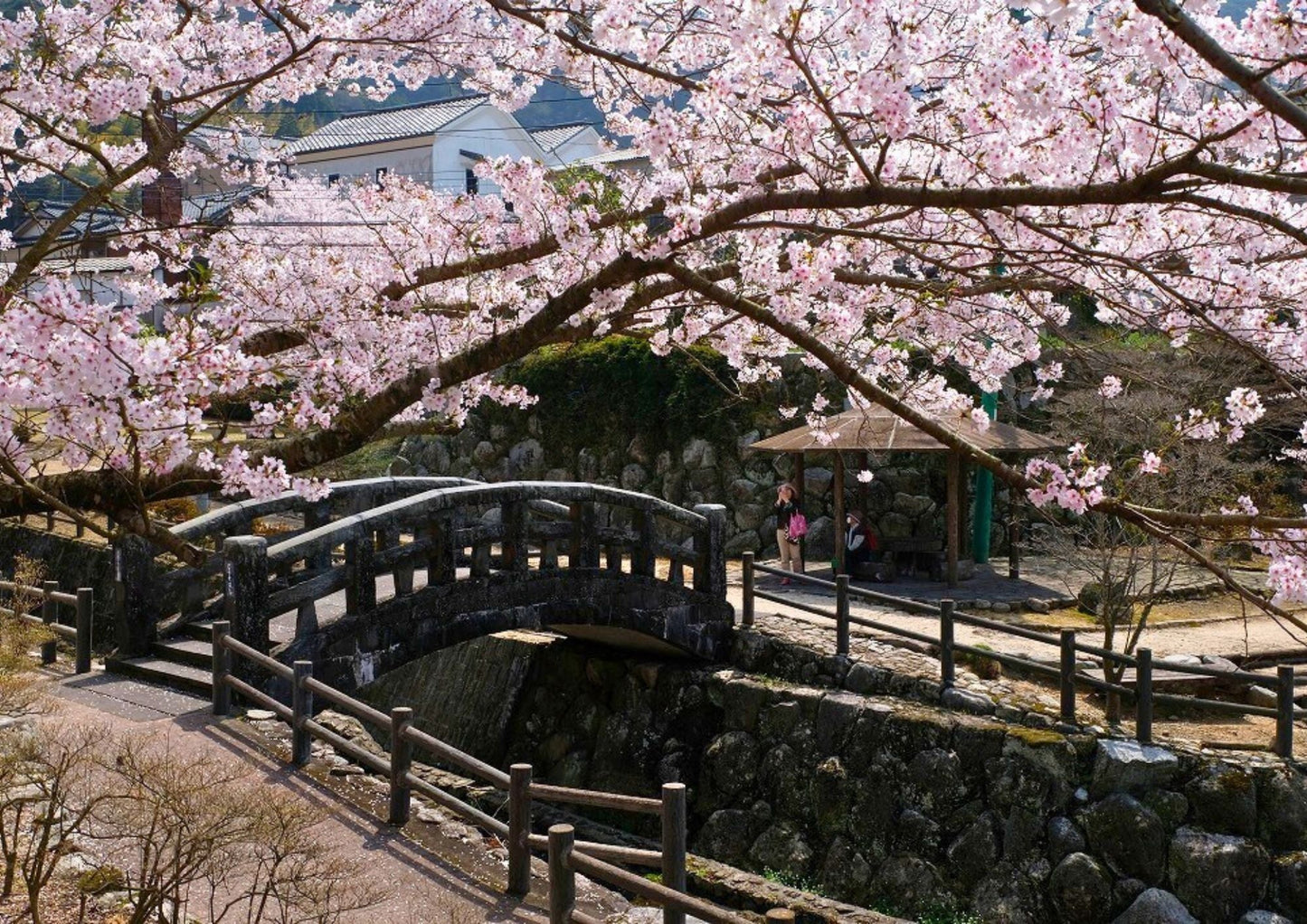 8 DAYS WEST KYUSHU PRIVATE TOUR