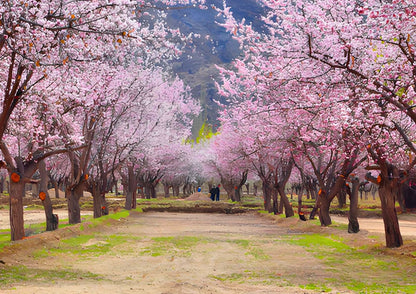 9 DAYS SOUTH XINJIANG PRIVATE TOUR