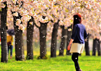 10天甲信越私人包團