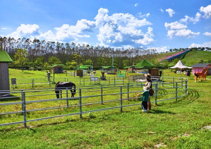 4 DAYS HUIZHOU PRIVATE TOUR