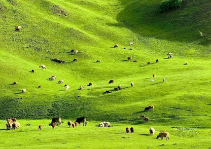 10 DAYS NORTH & WEST XINJIANG PRIVATE TOUR