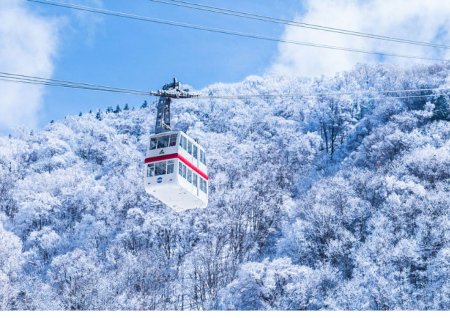 7 DAYS SHIRAKAWA-GO PRIVATE TOUR