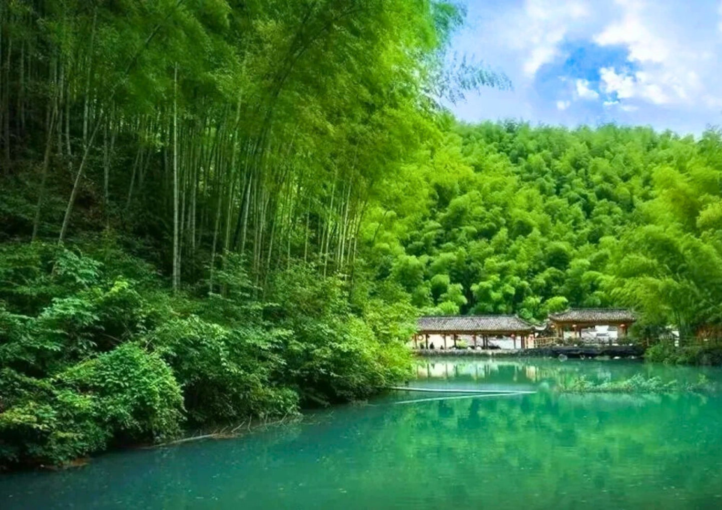 7日間の黄山プライベートツアー