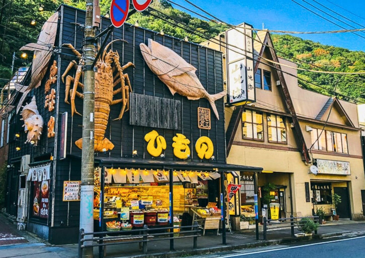 5 DAYS SOUTH KANTO PRIVATE TOUR