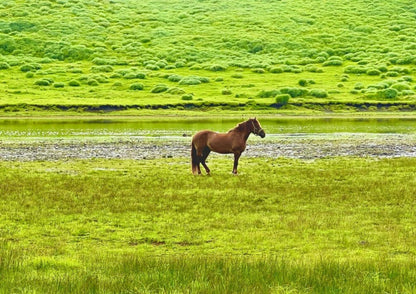 8 DAYS NORTH KYUSHU PRIVATE TOUR