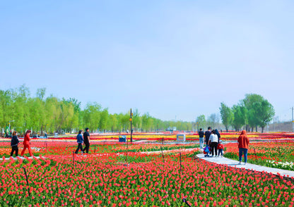 12 DAYS NORTH & EAST XINJIANG PRIVATE TOUR