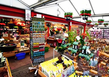 11 天荷蘭、比利時、盧森堡私人包團