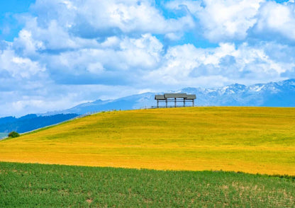 12 DAYS NORTH & EAST XINJIANG PRIVATE TOUR