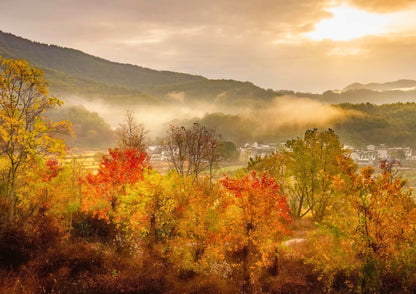 7日間の黄山プライベートツアー