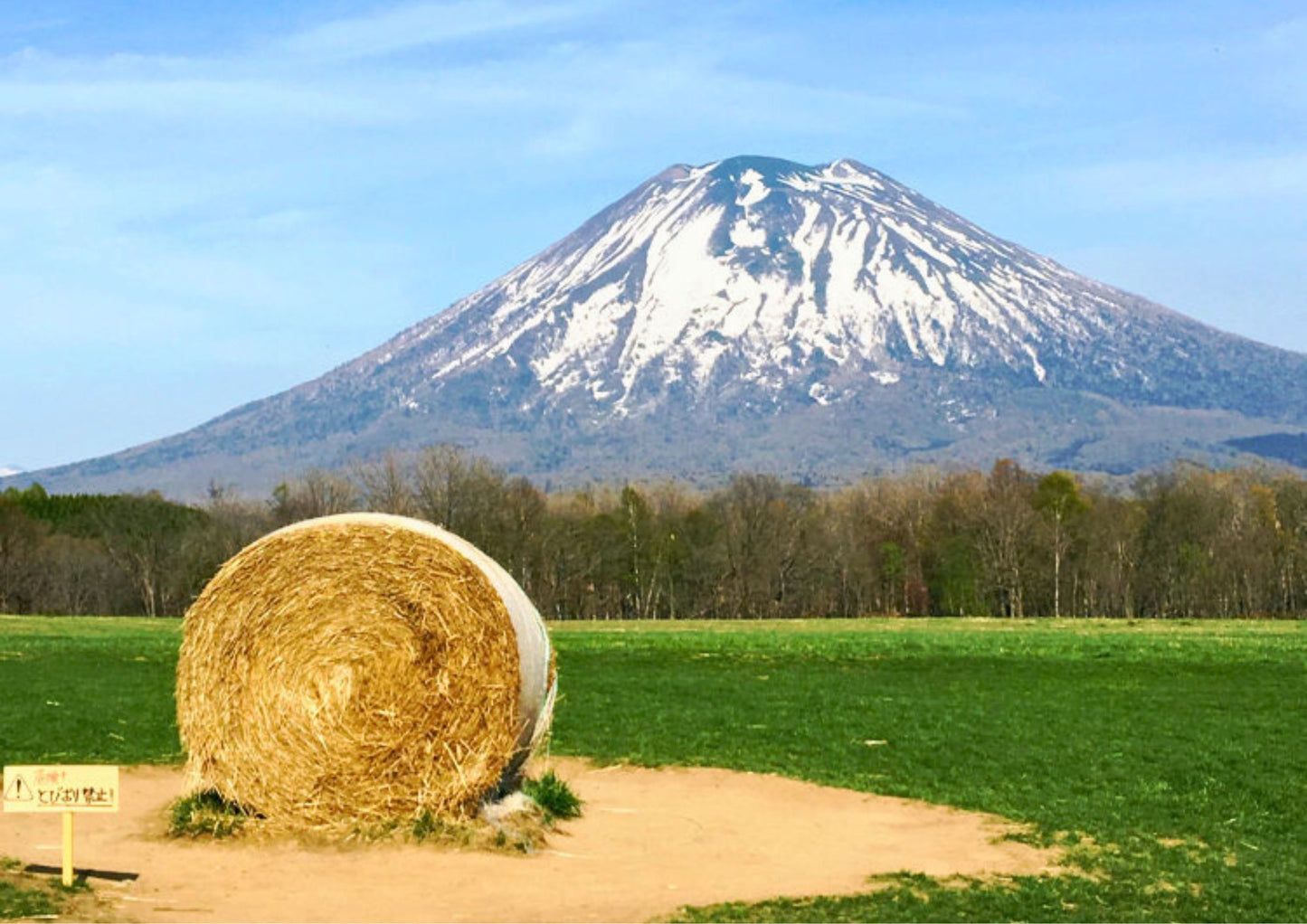 7 天北海道道央私人包團