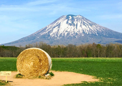 8 DAYS CENTRAL HOKKADIO PRIVATE TOUR