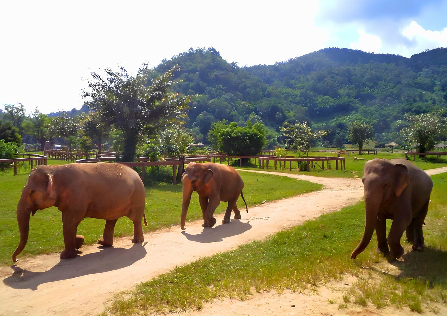 14 DAYS XISHUANGBANNA PRIVATE TOUR