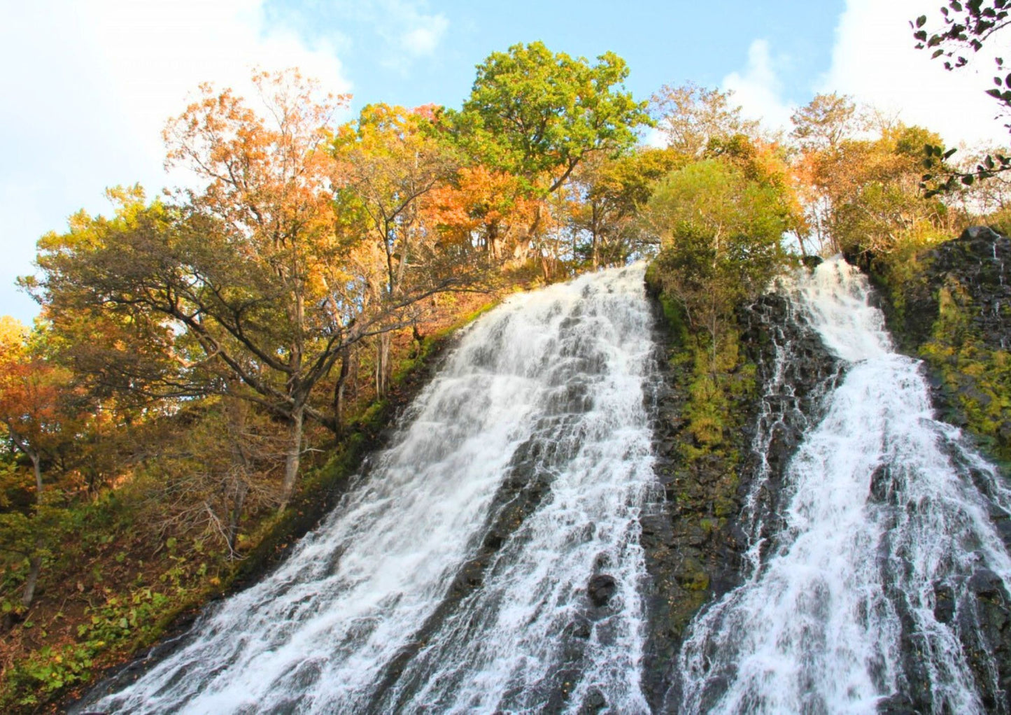 8 DAYS EAST HOKKADIO PRIVATE TOUR