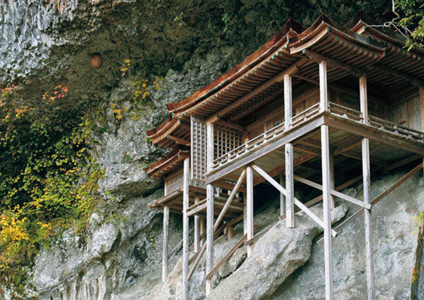 7天山陽・山陰私人包團