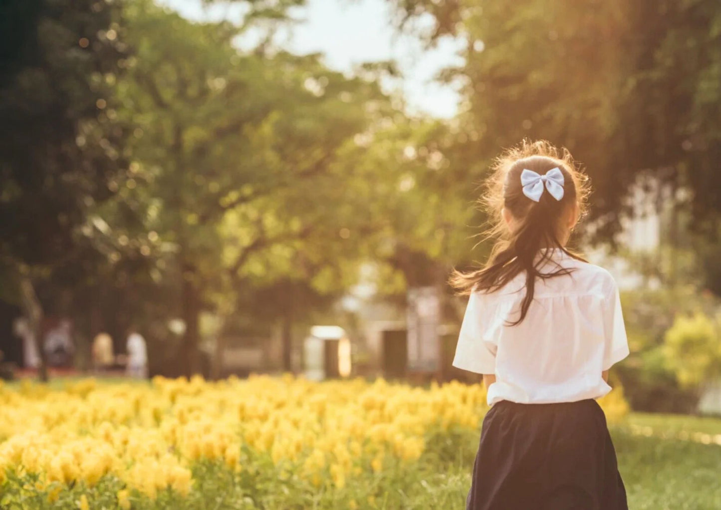 3 DAYS ZHANJIANG PRIVATE TOUR