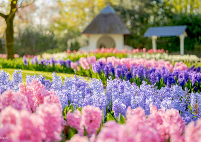 11 天荷蘭、比利時、盧森堡私人包團