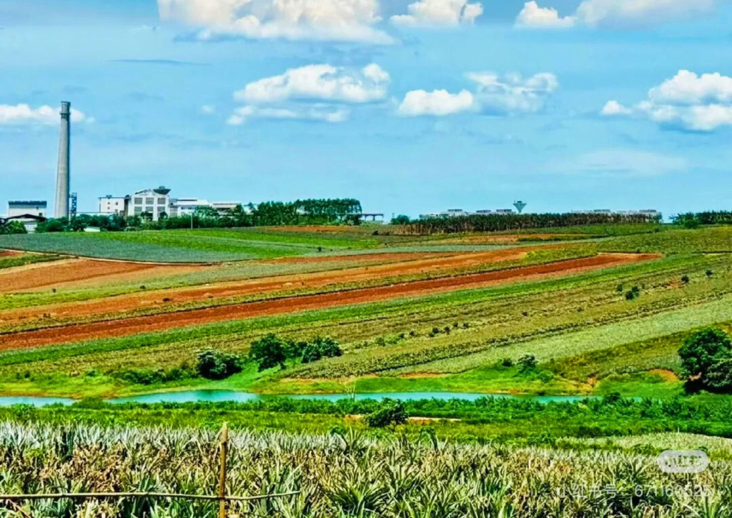5 DAYS ZHANJIANG PRIVATE TOUR