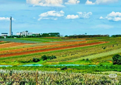 5 DAYS ZHANJIANG PRIVATE TOUR