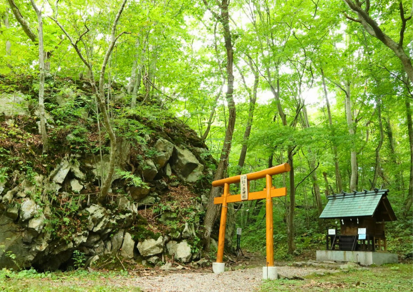 7 天北海道道南私人包團