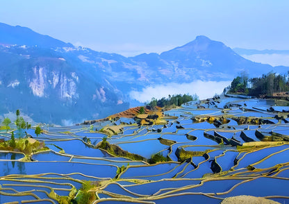 14 DAYS XISHUANGBANNA PRIVATE TOUR