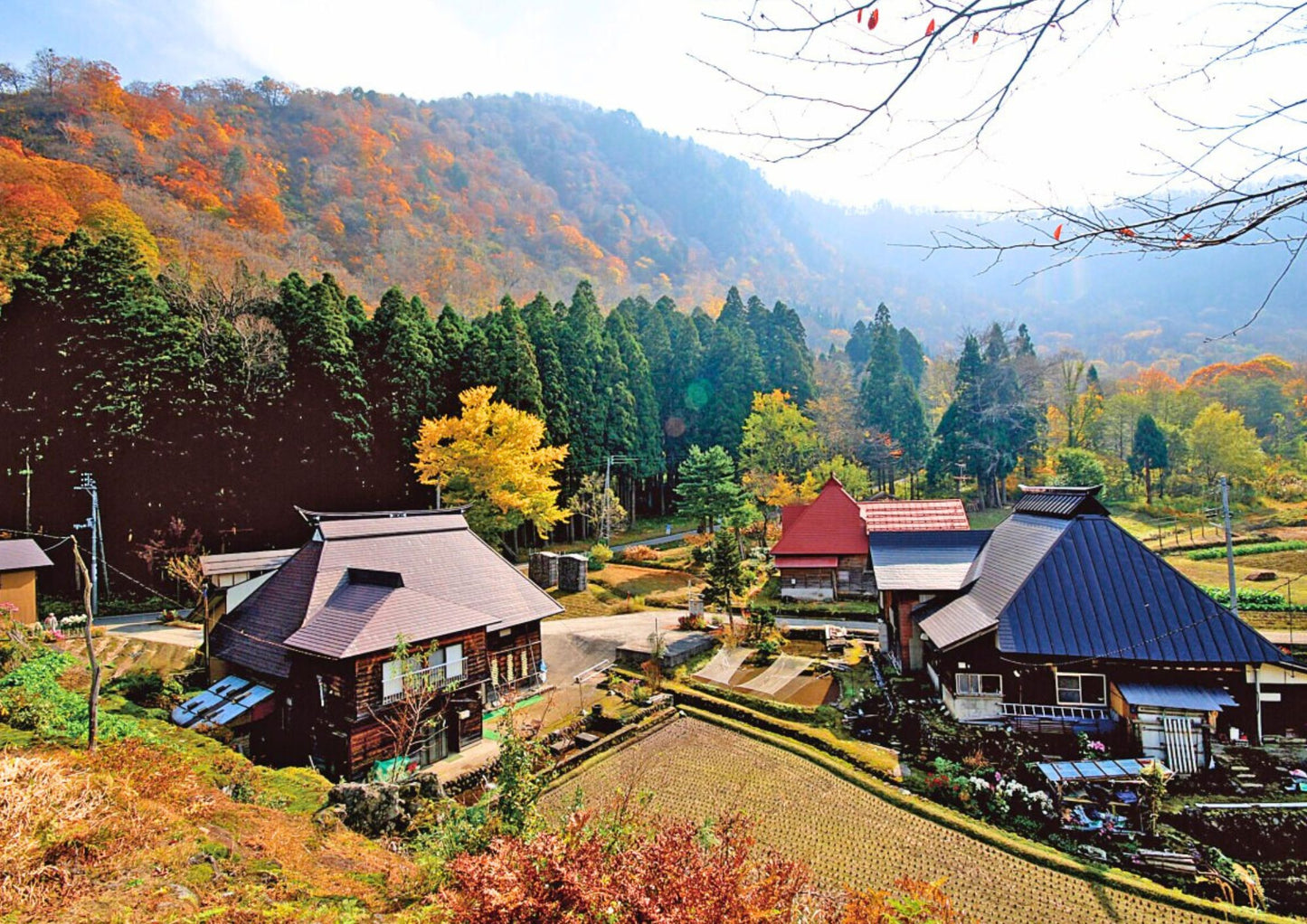 10天甲信越私人包團