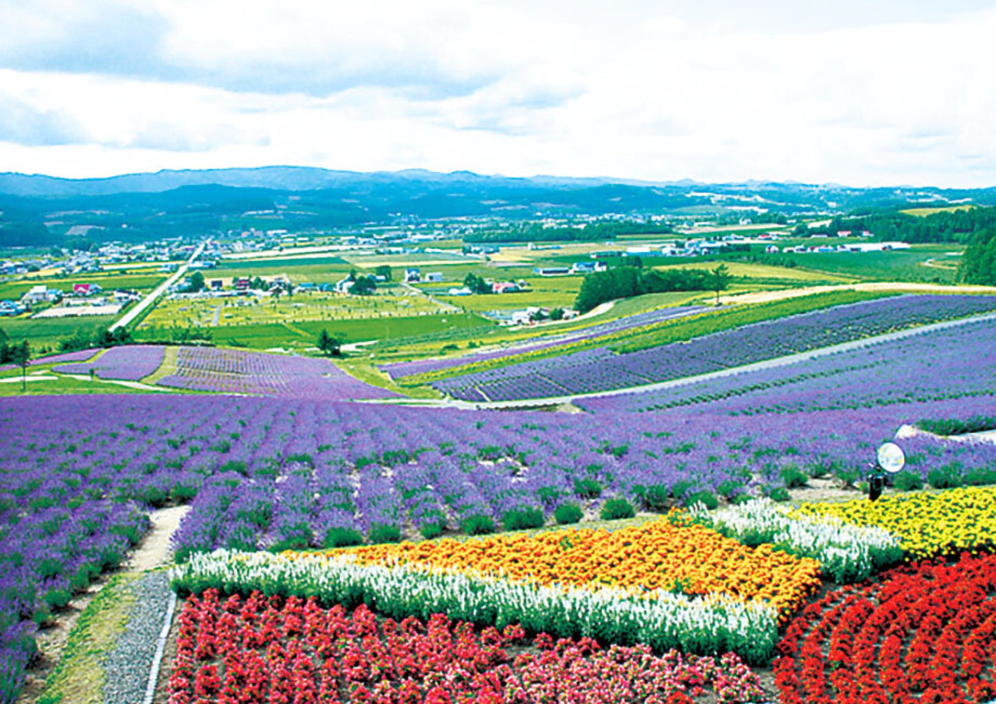 7 天北海道道東私人包團