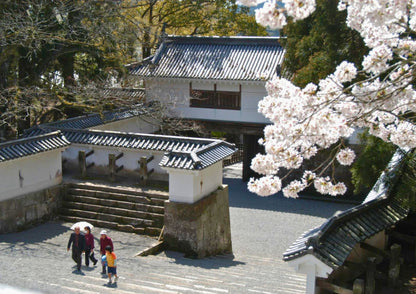 8 DAYS SOUTH KYUSHU PRIVATE TOUR