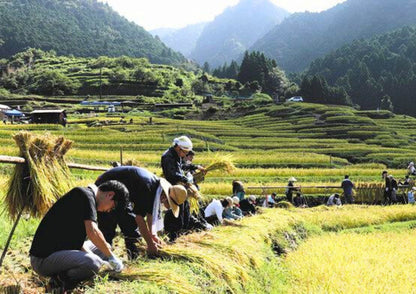 7天紀伊半島私人包團