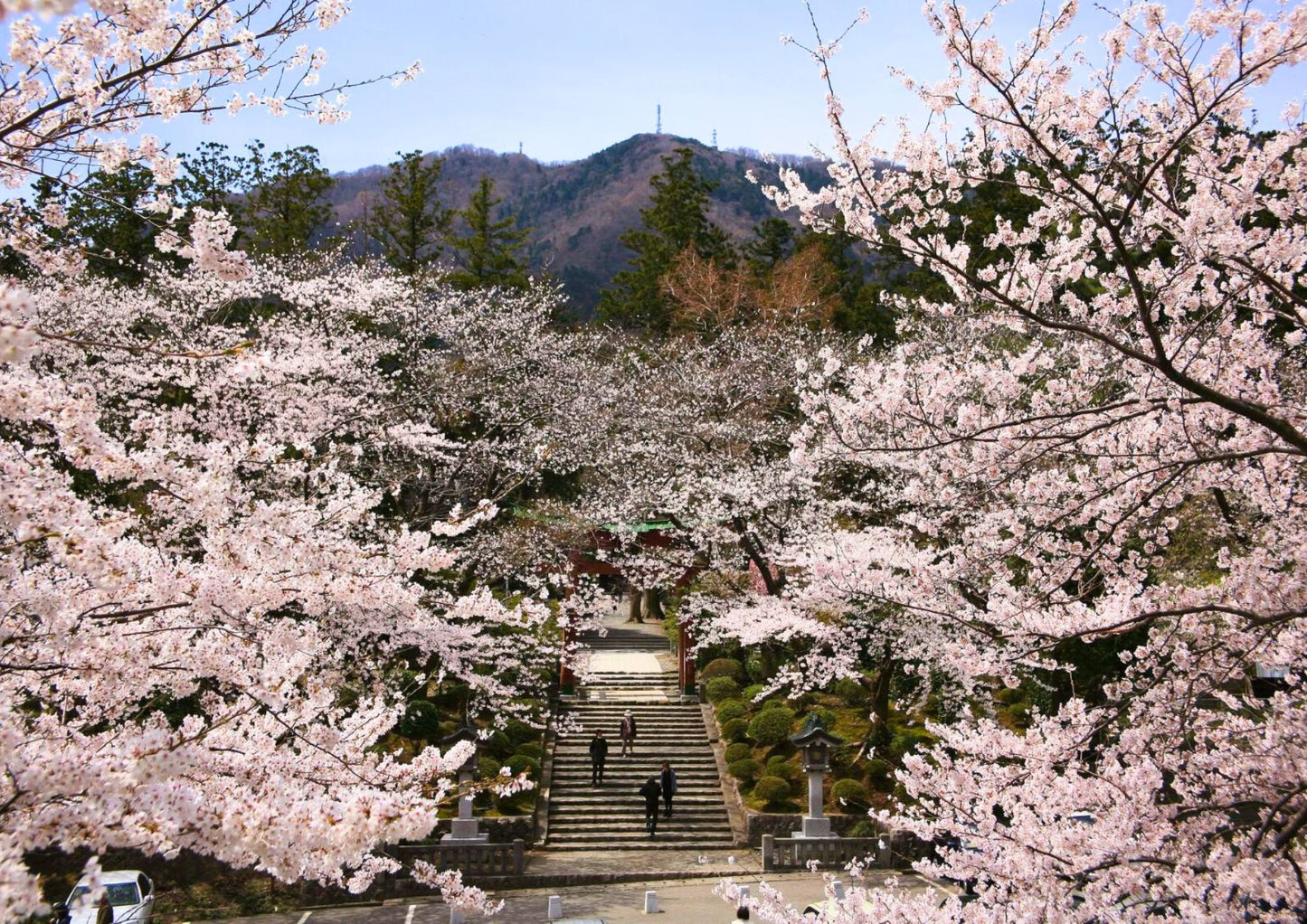 10天甲信越私人包團