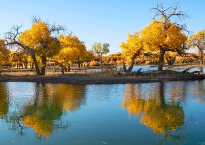 10 DAYS NORTH & EAST XINJIANG PRIVATE TOUR