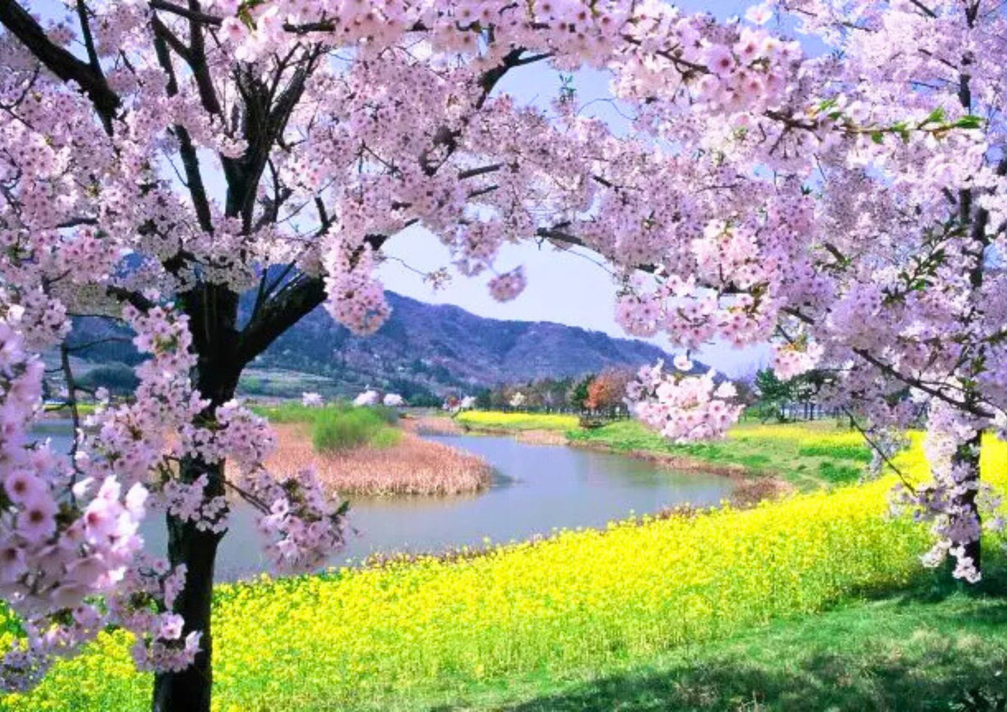 10天甲信越私人包團