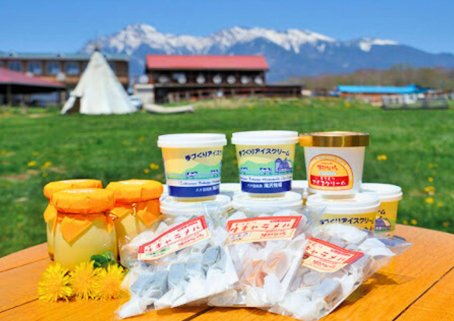 10天甲信越私人包團