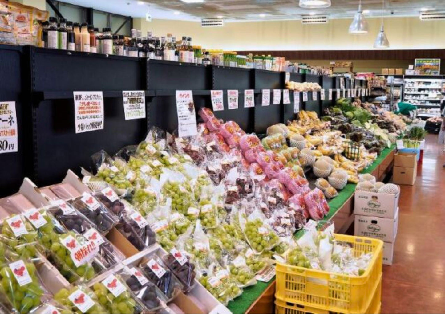 10天甲信越私人包團