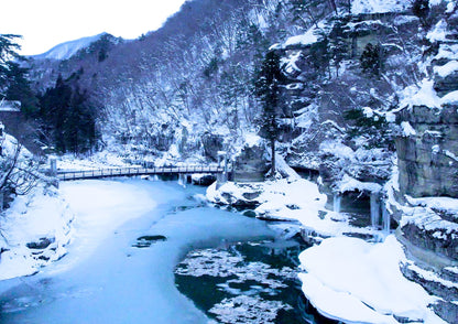 7 DAYS TOHOKU PRIVATE TOUR