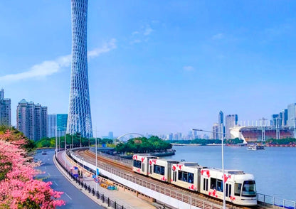 4日間の広州＆従化プライベートツアー