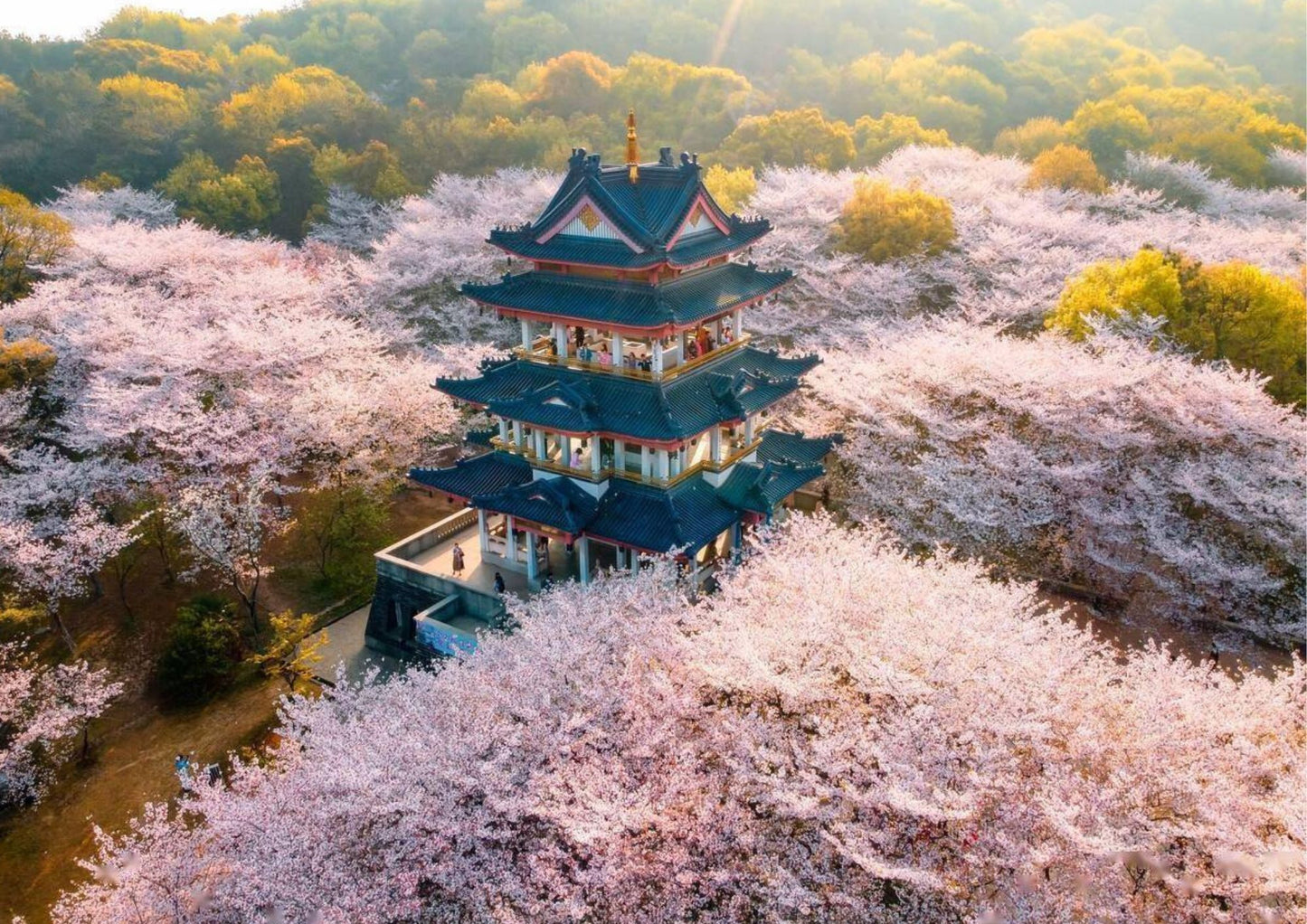 5 DAYS JIANGSU PRIVATE TOUR