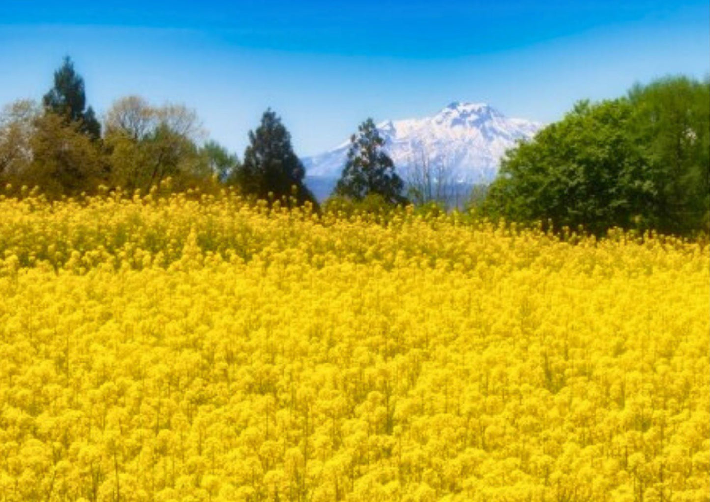 10天甲信越私人包團