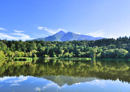 7 天北海道道北私人包團