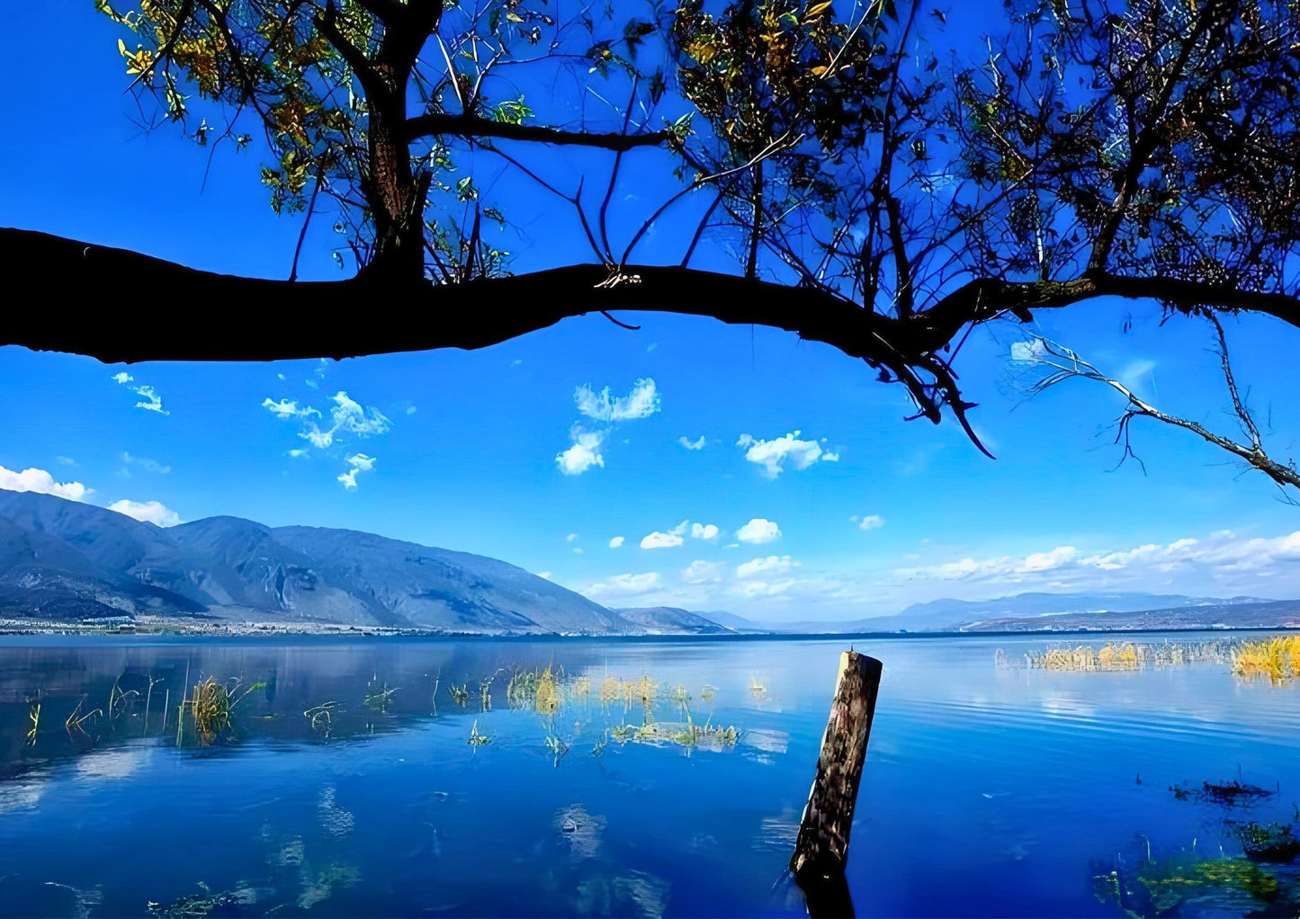 14 DAYS XISHUANGBANNA PRIVATE TOUR