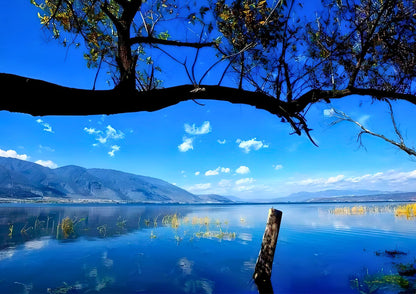 14 DAYS XISHUANGBANNA PRIVATE TOUR