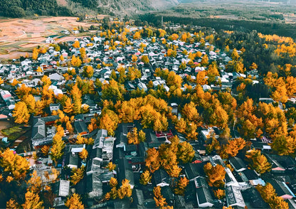 14 DAYS XISHUANGBANNA PRIVATE TOUR