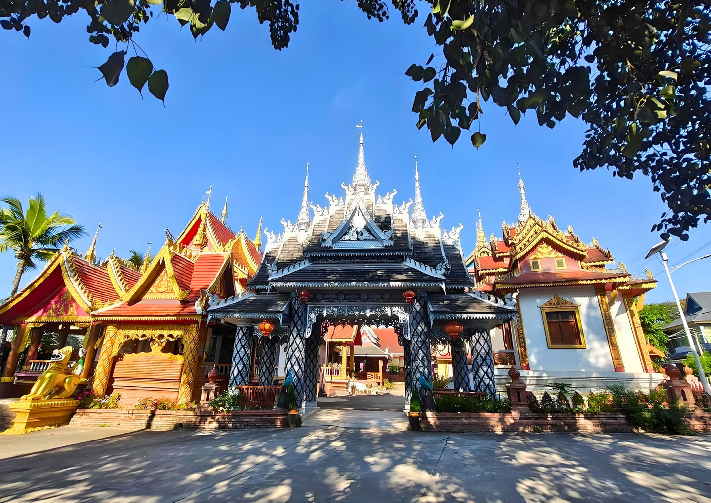 14 DAYS XISHUANGBANNA PRIVATE TOUR