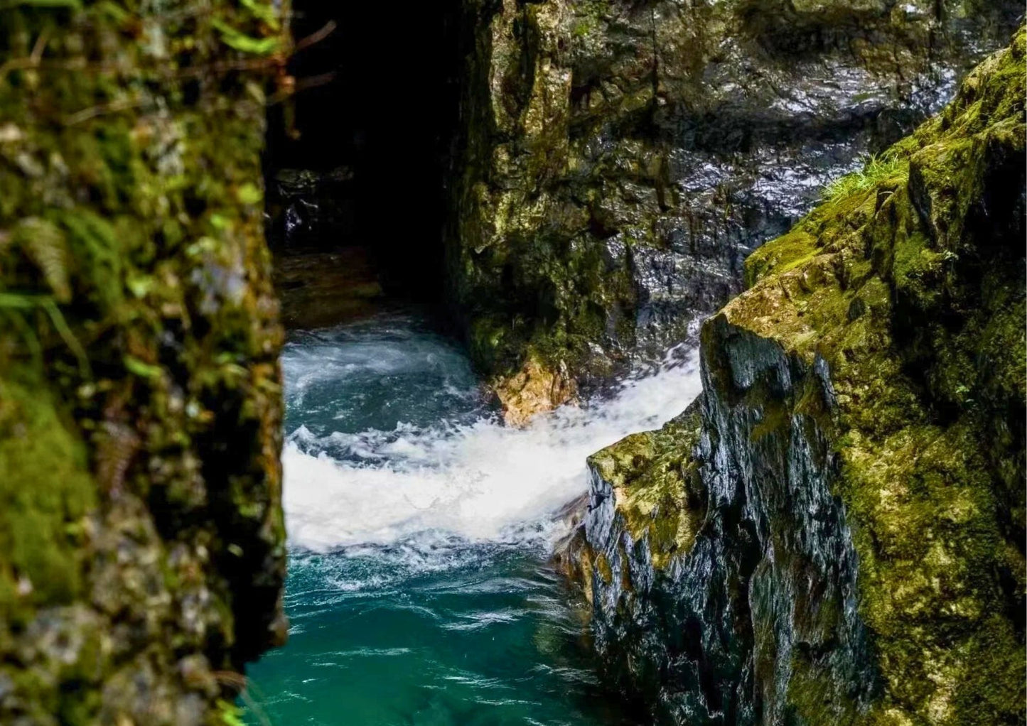7日間の黄山プライベートツアー