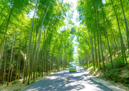 8 DAYS JIANGSU PRIVATE TOUR