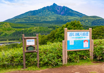 8日間の北海道道北プライベートツアー